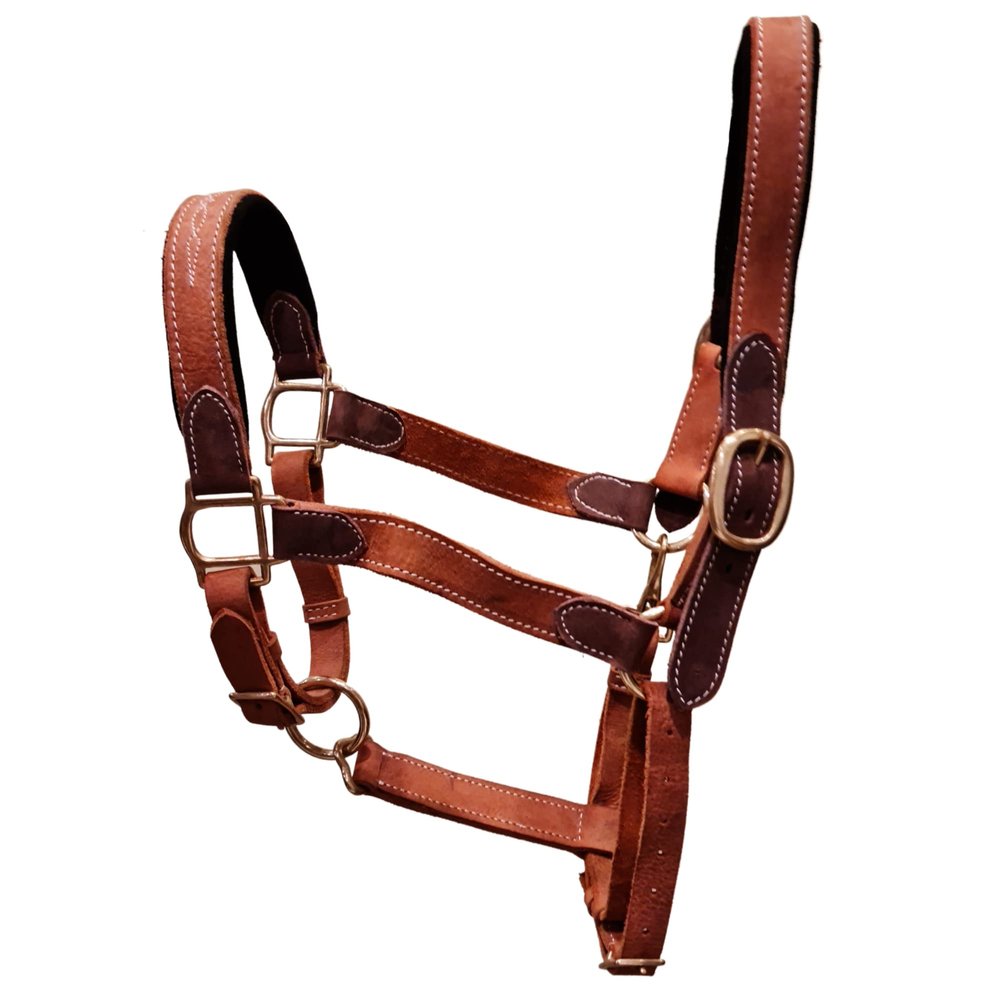 Blazing Paws Vibrania Padded Leather Pony Horse Halter in Two Tone Super Soft Premium Distressed Leather with Solid Brass Hardware (Pony Size, Tan)