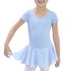 Basic Moves Little Girls Short Sleeve Ballet Leotard Dress (4/5, Baby Blue) view 1