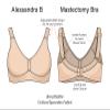 Alessandra B Mastectomy Bra with Pockets Based on Cup Sizes Nude view 3
