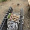 CAMPINGMOON 304 Stainless Steel Cooking Grates for Camping Stove Grill Campfire Open Fire (L 15.7 x W 5.1 Cooking grate MTG-D view 4