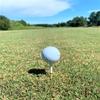 100 New 3 1/4" 3.25 Pride Masters Color Yellow & Green Striped White Custom Wood Golf Tees view 2