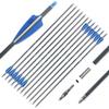 TIGER ARCHERY 400-30inch Carbon Hunting Arrows Archery Target Practice Arrows with Removable Tips for Recurve Bow and Compound Bow 12-Pack (30inch, Blue White) view 1