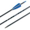 TIGER ARCHERY 400-30inch Carbon Hunting Arrows Archery Target Practice Arrows with Removable Tips for Recurve Bow and Compound Bow 12-Pack (30inch, Blue White) view 3