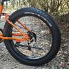 26x4.0 inch Fat Bike Tire 60TPI for Electric Bike Fat Bicycle Tire 4.0 inch Mountain Bike Tire (26x4.0 inches) view 2