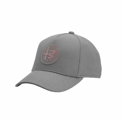 Alfa Romeo Racing Logo Hat (Grey)