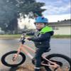 Toddler Helmet Kids Bike Helmet for 2 3 4 5 6 7 8 Years Old Girls with 3D Dinosaur Design Protective Gear Set and Safety Certified, Toddler Bike Cycling Skating Skateboard Scooter Helmet (Blue) view 2