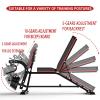Utility Weight Bench with Leg Extension - Multi-Position Adjustable Bench for Strength Training, Dumbbell Exercise and Ab Workouts view 4