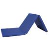Agility Training Cone Blue PU Tri-Fold Folding Gymnastic Exercise Mat, Easy to Carry and Store, for Gym, Tumbling, Dancing, Yoga, 180x60x5cm (Size : 180x60x5cm)