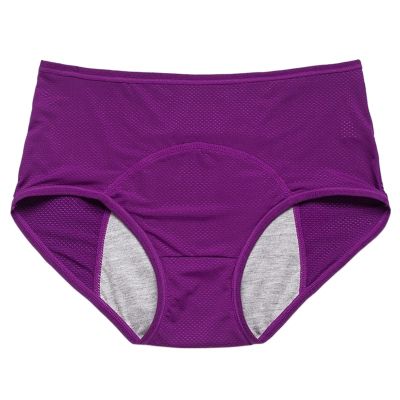 8XL 40-150kg Women Super Plus Size Underwear Pants High Rise Kawaii Lingerie Satin Panties Transparent MeshBreathable (Color : Shape3, Size : 4XL (85-95kg))