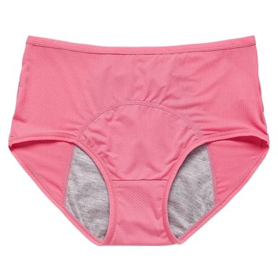 8XL 40-150kg Women Super Plus Size Underwear Pants High Rise Kawaii Lingerie Satin Panties Transparent MeshBreathable (Color : Shape1, Size : XXL (65-75kg))