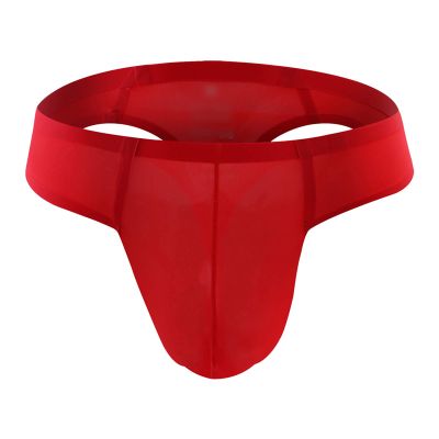 JEsilunmaMY Mens Ice Silk Underwear Solid Low Rise Bulge Pouch G-String Panties Breathable Seamless Sexy Thong Underpants (Red,Large)