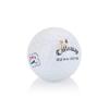 48 Used Golf Balls for Callaway ERC Triple Track Mix - Fair Condition (3A) view 2