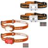 EverBrite 4-Pack LED Headlamp view 1