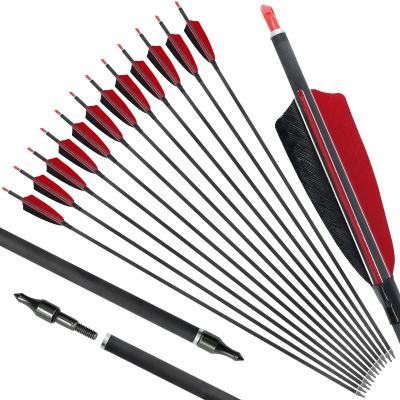 OBTOUTDOOR 12 Pack Archery Arrows Spine 600 Pure Carbon Feather Arrows with 4" Turkey Feathers and Removable Tips for Compound Recurve Longbow Adult Youth Shooting (29Inch)