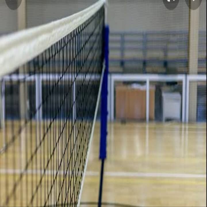 saw power M570 Professional Badminton Net, Heavy Duty, Indoor Outdoor, Rope Cable,Tournament 22X2.5 Feet