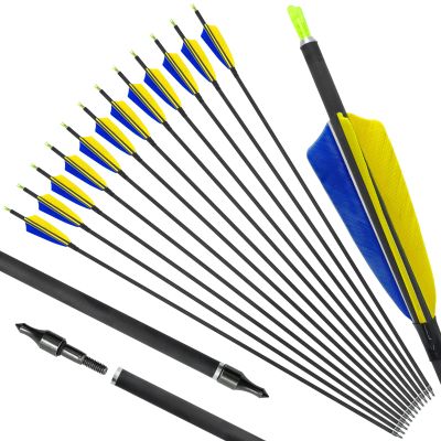 OBTOUTDOOR 12 Pack Pure Carbon Arrows 28/29/30/31 Inch Archery Arrows Spine 500 Archery Hunting Arrows with 4" Turkey Feathers and Removable Tips for Adult Youth Shooting (29Inch)