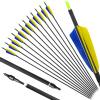 OBTOUTDOOR 12 Pack Pure Carbon Arrows 28/29/30/31 Inch Archery Arrows Spine 500 Archery Hunting Arrows with 4" Turkey Feathers and Removable Tips for Adult Youth Shooting (29Inch) view 1
