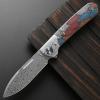 Sitivien ST256 Damascus Steel Folding Knife,Damascus Blade with Colorful G10 Handle EDC Knife for Outdoor Camping,Hiking, Fishing(Color)   view 2