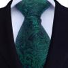 Adulove Men's Necktie Classic Silk Tie Woven Jacquard Neck Ties Wedding Business view 4