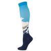 Drincoshow Sports Compression Stockings Famous Painting Socks Compression Socks Outdoor Stretch Socks (S/M,HAILANG) view 1