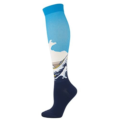 Drincoshow Sports Compression Stockings Famous Painting Socks Compression Socks Outdoor Stretch Socks (L/XL,HAILANG)