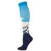 Drincoshow Sports Compression Stockings Famous Painting Socks Compression Socks Outdoor Stretch Socks (L/XL,HAILANG) view 1