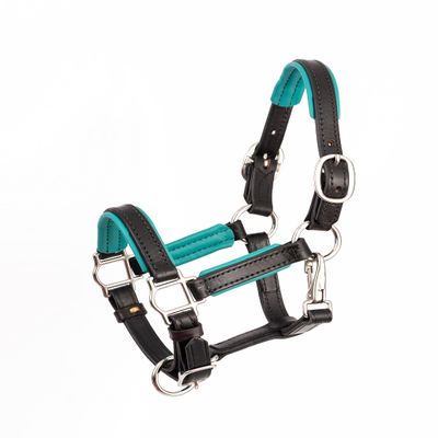 Perris Padded Leather Halter Mini Black/Turq