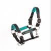 Perris Padded Leather Halter Mini Black/Turq view 1