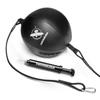 Hayabusa Double Ended Bag Classic Sphere - Black, 12 Inches view 1