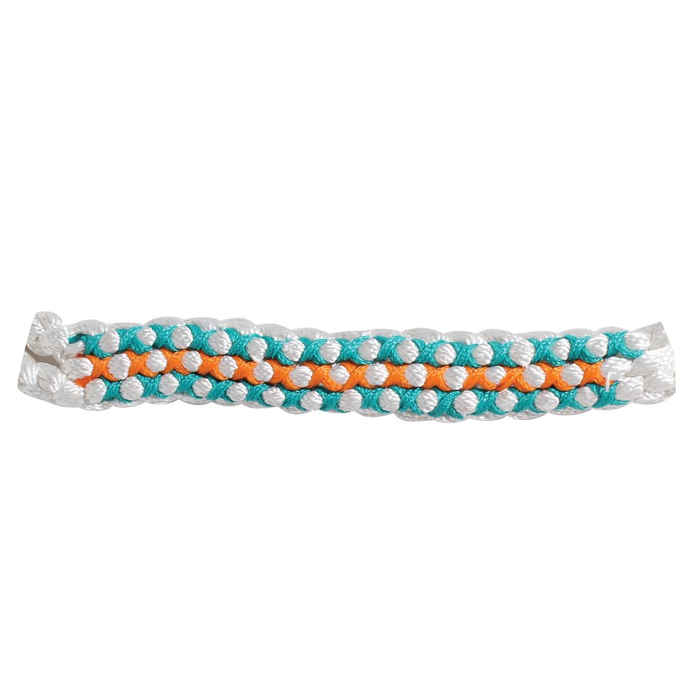 Professional's Choice Cowboy Braided Halter (Woven Color, White/Teal)
