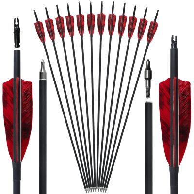 28"/30" Archery Carbon Arrows Spine 400/500 with 4" Natural True Feather and Detachable Tip Target Shooting Arrows for Recurve and Compound and Traditional Bows (12 Pack) (28 inches,Spine 400)