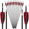 28"/30" Archery Carbon Arrows Spine 400/500 with 4" Natural True Feather and Detachable Tip Target Shooting Arrows for Recurve and Compound and Traditional Bows (12 Pack) (28 inches,Spine 400) view 1