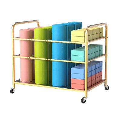 LXLZYXSF Yoga Blocks & Yoga Mats Storage Cart with Wheels, Foam Rollers Holder for Gym Studio, Large Capacity Work Out Equipment Organizer (Color : Gold, Size : 31.5x19.6x27.5inch)