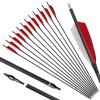 12PCS Spine 500 Pure Carbon Arrow Practice Hunting Arrows 28-31inch Archery Target Arrows for Compound Bows with 4" Turkey Feathers for Recurve Longbow (31Inch) view 1