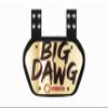 O Shield Big DAWG Golden Chrome Football Back Plate, Lower Back Pads for Football, Youth view 1