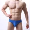 JEsilunmaMY Mens Seamless Underwear Ice Silk Low Rise U Convex Pouch G-String Thong Solid Color Breathable T-Back Panties (Blue1,Large) view 2