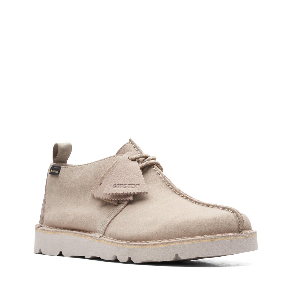 Clarks Men's Desert Trek GTX Shoes (us_Footwear_Size_System, Adult, Men, Numeric, Medium, Numeric_9_Point_5)
