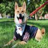 Zubaz NFL Team Pet T-Shirt for Dogs, Green Bay Packers, Large view 3