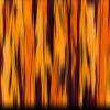Country Brook Design - Orange Sunset Camo Polyester Webbing (1 1/2 Inch, 10 Yards) view 4