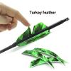 28"/30" Archery Carbon Arrows Spine 400/500 with 4" Natural True Feather and Detachable Tip for Recurve and Compound and Traditional Bows Target Shooting Arrows(12 Pack) (30 inches,Spine 400) view 4