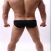JEsilunmaMY Mesh Bikini Briefs for Men Ice Silk Low Waist Fishnet Bulge Pouch Underwear Hollow Out Breathable Sexy Panties (Black,Medium) view 4