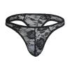 Men's Lace Sissy Thong Low Rise Bulge Lingerie Breathable Underwear See Through Bikini Underpants Sexy Panties (Black,Large)