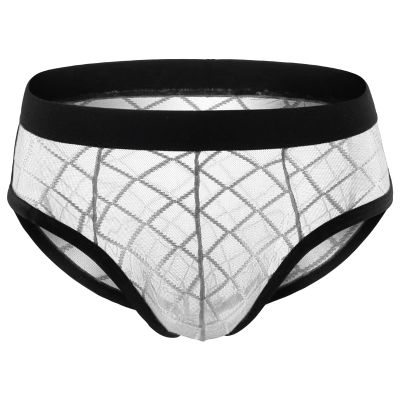 JEsilunmaMY Mens Mesh Sexy Briefs See Through Low Rise Bulge Pouch Underwear Transparent Breathable Stretch Bikini Underpants (White,Medium)