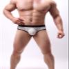 JEsilunmaMY Mens Mesh Sexy Briefs See Through Low Rise Bulge Pouch Underwear Transparent Breathable Stretch Bikini Underpants (White,Medium) view 2