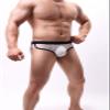 JEsilunmaMY Mens Mesh Sexy Briefs See Through Low Rise Bulge Pouch Underwear Transparent Breathable Stretch Bikini Underpants (White,Medium) view 3