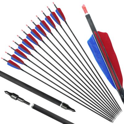 OBTOUTDOOR 28 29 30 31 Inch Pure Carbon Hunting Arrows 12Pack Spine 500 Feather Fletched Arrows with 100 Grain Removable Tips Archery Arrows for Practice Target Adult (28Inch)