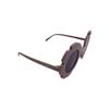BLINKRITE Unisex Sunflower Sunglasses for Kids and Toddlers, Great for Birthday Parties, Outdoor Events, or Children's Gifts (Coffee) view 2