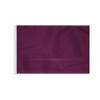 AGAS Plum Golf Flags Mini with Tube Insert 14x20 inch- Heavy Duty 200D Nylon - 14 inch long x 7/8 inch dia Rotating No Furl Pvc Tube - Double Sewn Edges - Waterproof Putting Green Flags Mini Pin Flags For Yard - Golf Flag for Driving Range Backyard view 1