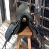 WILD RACE Leather Dressage Monoflap Changeable Gullets Saddle (18", Black) view 4
