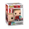 POP! WWE117 Rob Van Dam Special Edition view 1